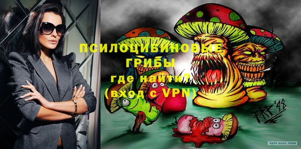 твердый Арсеньев
