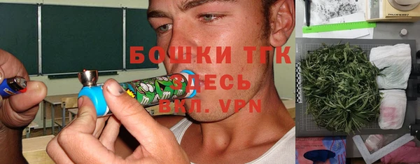 твердый Арсеньев