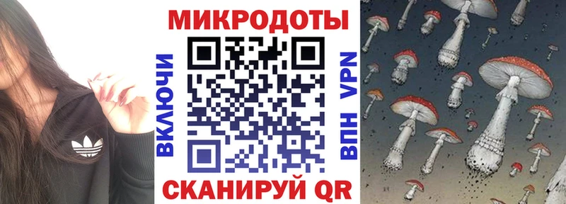 Галлюциногенные грибы Psilocybine cubensis  купить наркотики сайты  Октябрьск 